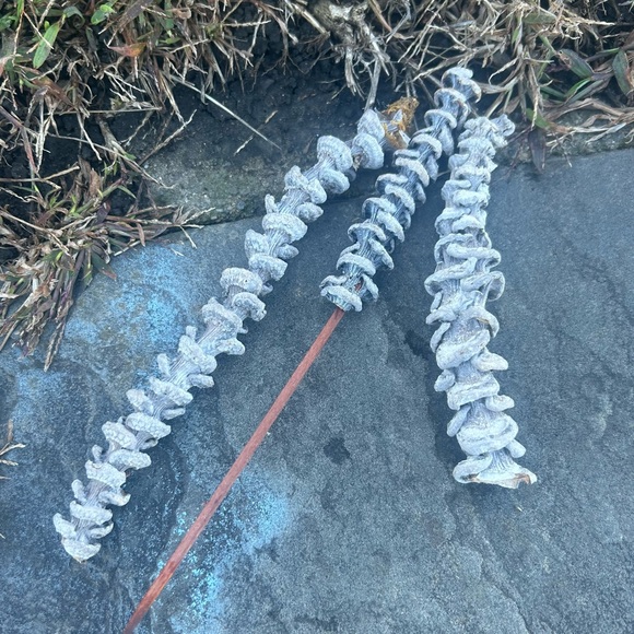 Multi piece gourd lotus natural decor  set - Picture 6 of 13